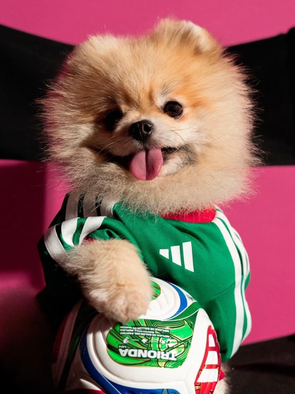 adidas Green Mexico Dog Soccer Jersey with Red & White Trim